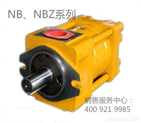 NB,NT系列中压泵