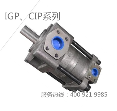 IGP,CIP系列高压泵